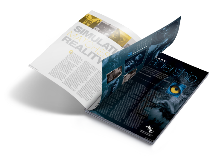 Softnage branding & Identity services